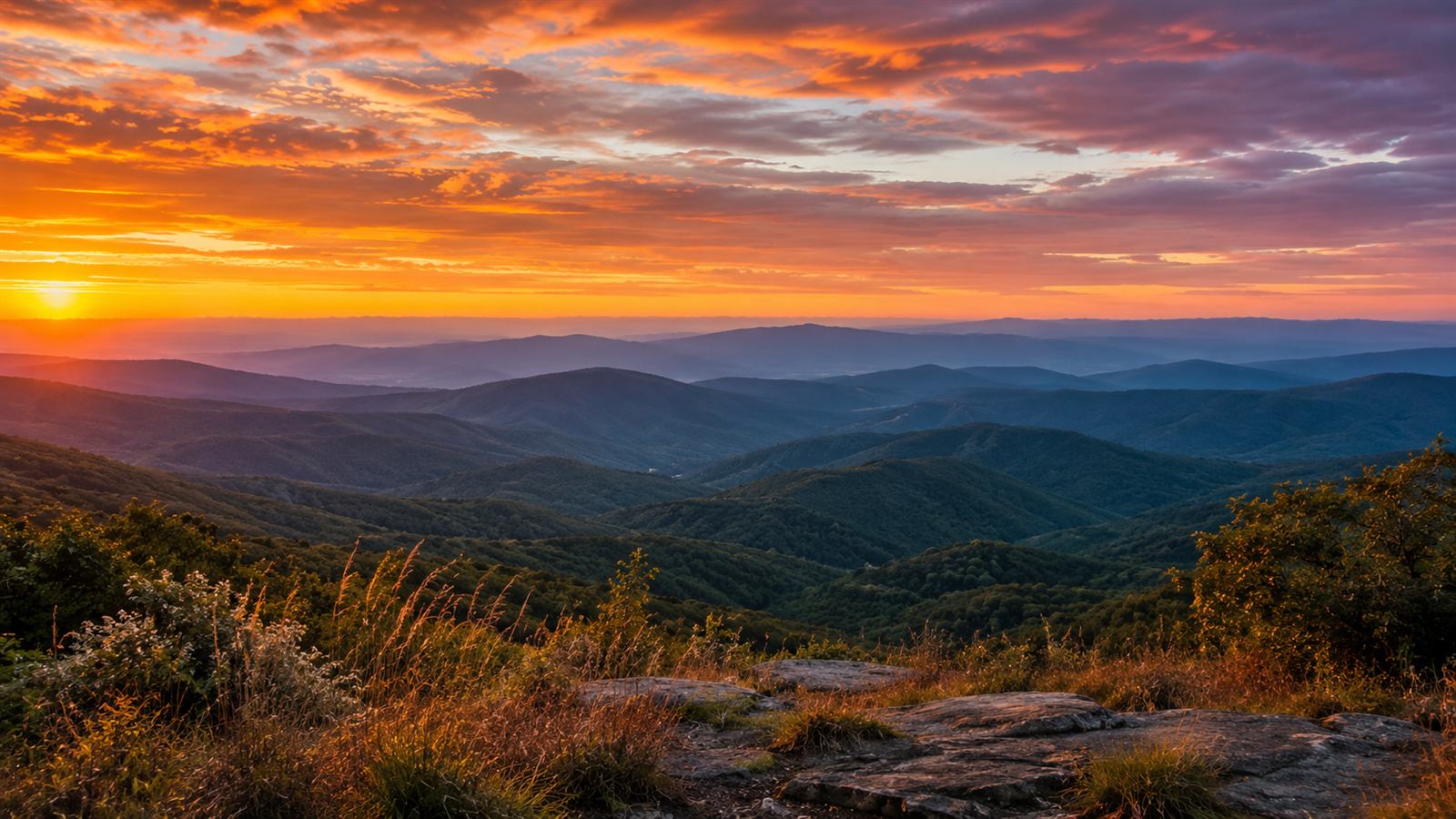 North Carolina landscape