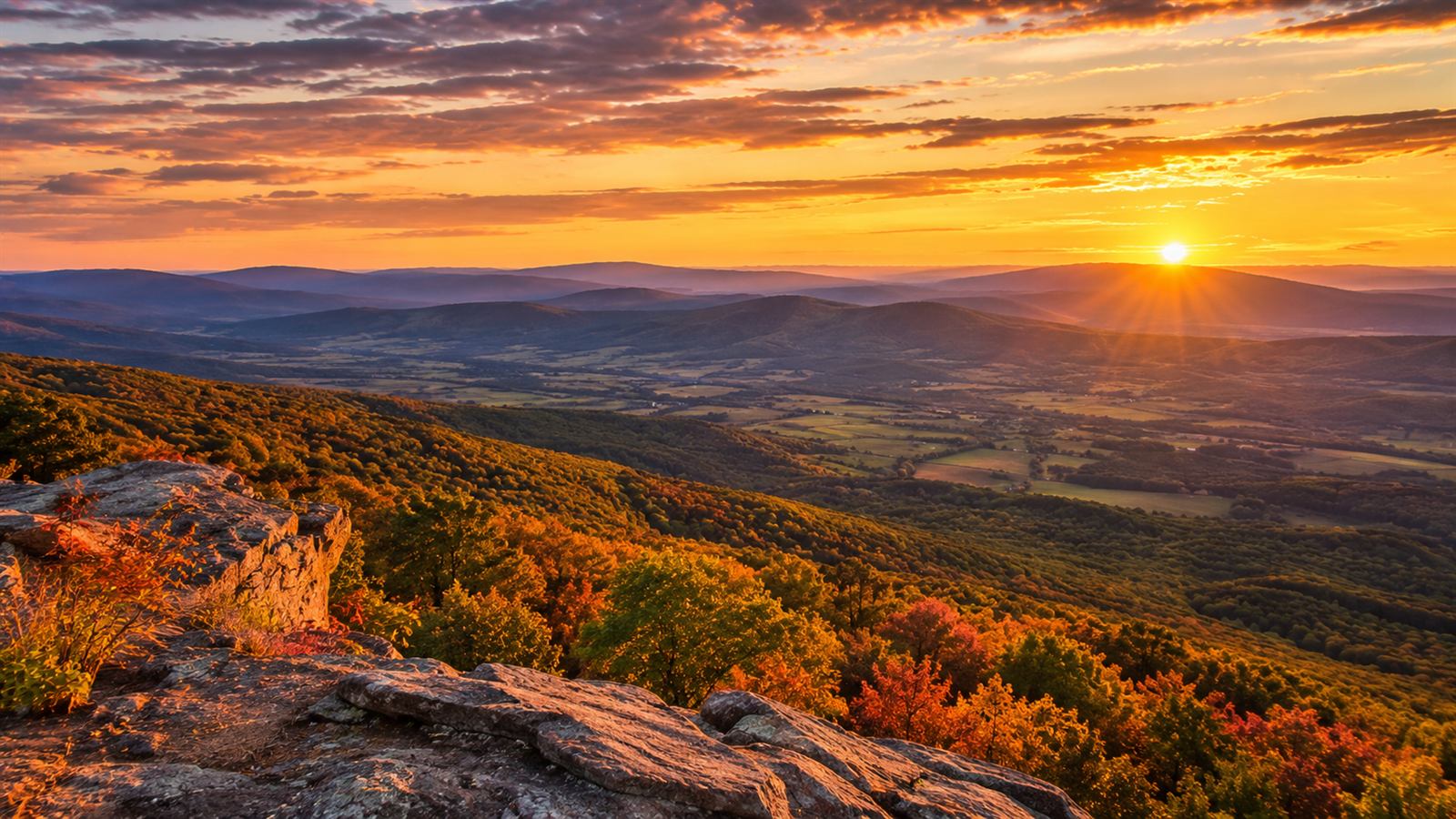 Virginia landscape